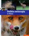 Dzikie zwierzęta w Polsce