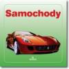 Samochody - Piotr Kleszcz