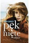Pęknięte odbicie
