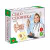 Quiz Ciało człowieka