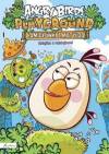 Angry Birds. Playground. Łamigłówki z Matyldą. Książka z nalepkami