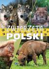 Zwierzęta Polski
