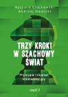 Trzy kroki w szachowy świat. Pryncypia i niuanse królewskiej gry. Część II