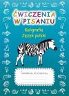 Ćwiczenia w pisaniu. Kaligrafia. Język polski