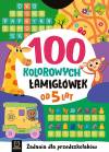 100 kolorowych łamigłówek