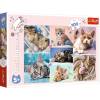 Puzzle 100 el. W kocim świecie <spanclass=