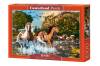 Puzzle 1000 el. Horse Wonderland