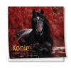 Kalendarz 2027 ścienny 30x30cm Konie