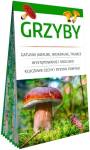 Grzyby. PorÄczny miniprzewodnik po najpopularniejszych gatunkach.