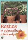 Rośliny w pojemnikach[P]z terakoty