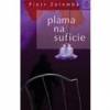 Plama na suficie op.m