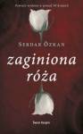 Zaginiona róża