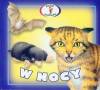 W nocy