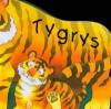 Tygrys